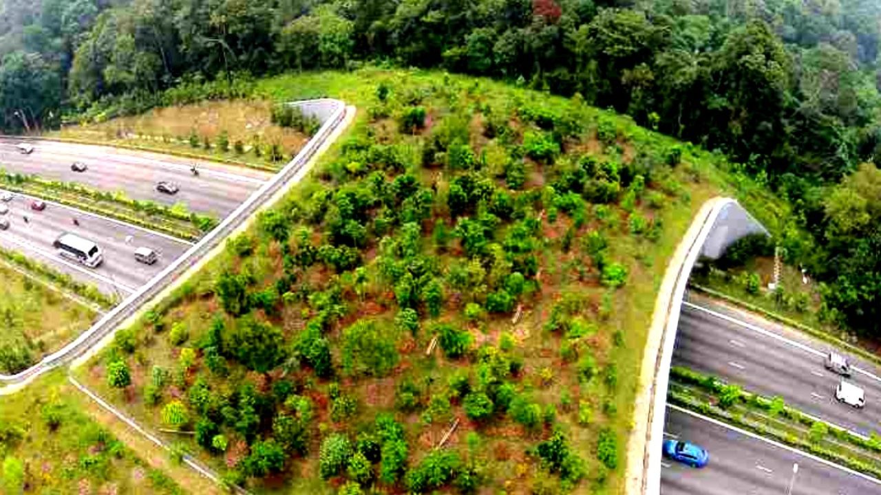 Delhi Mumbai expressway