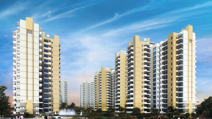 Corona Optus Society Gurgaon Dwarka Expressway property