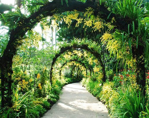 Botanical Garden