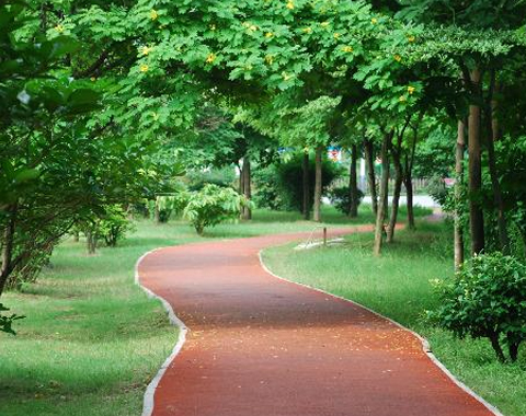 Running Track